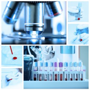 Pet diagnostic technology