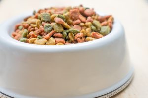 Bowl of kibble for a dog or cat